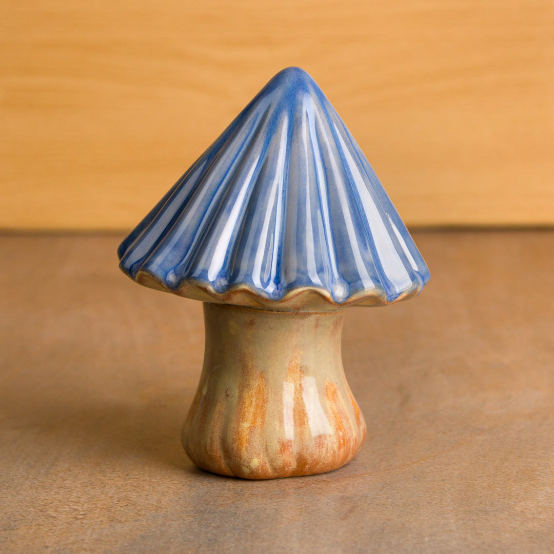 Ribbed Mushroom