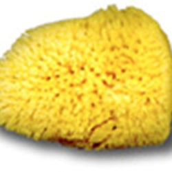 Silk Sponge