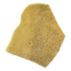 4” Elephant Ear Sponge