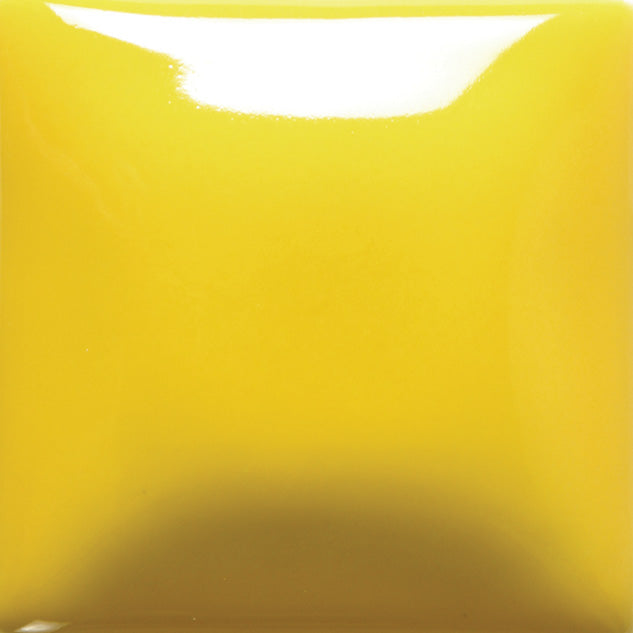 FN0024 Yellow