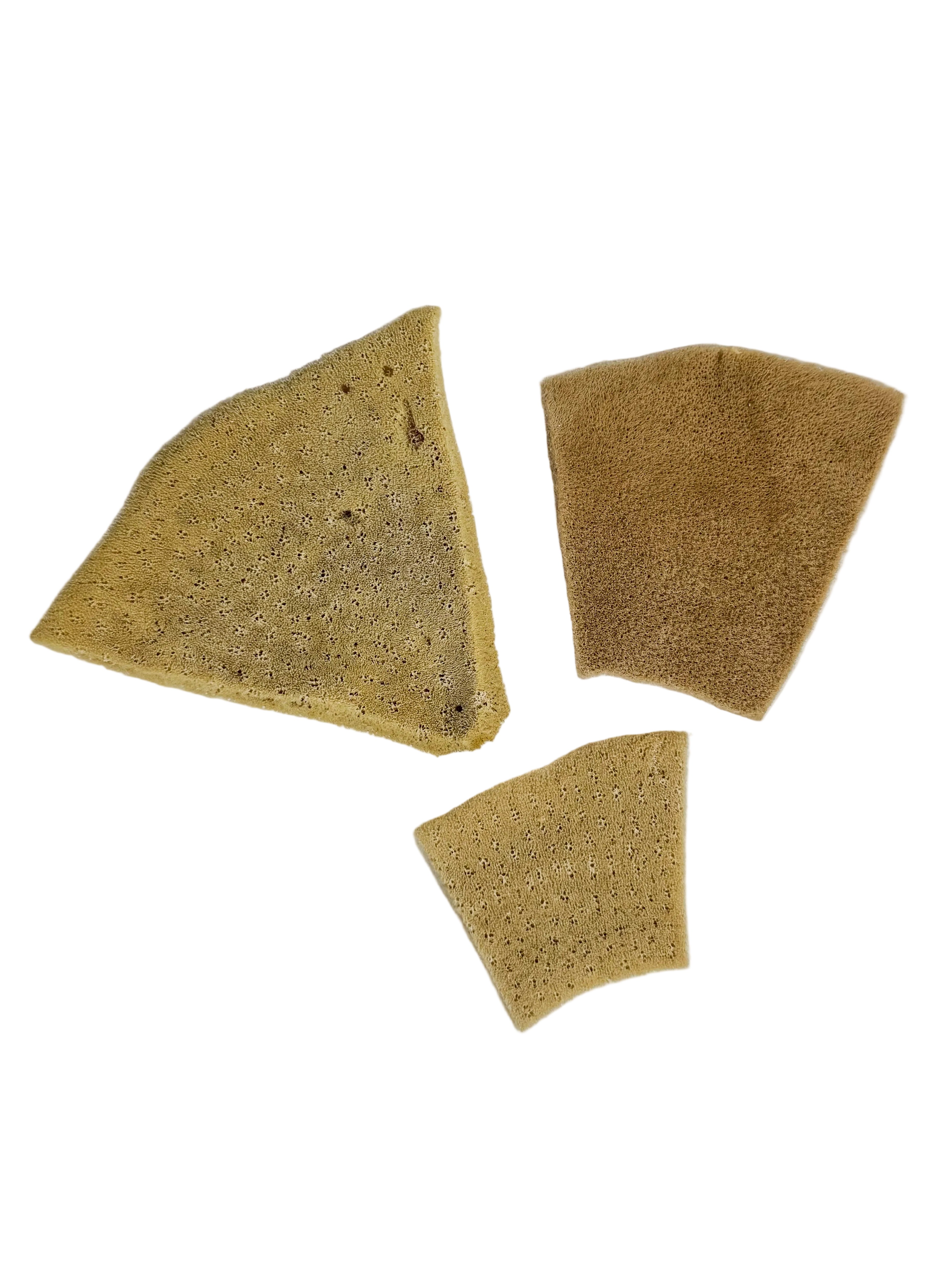 3” Elephant Ear Sponge Set