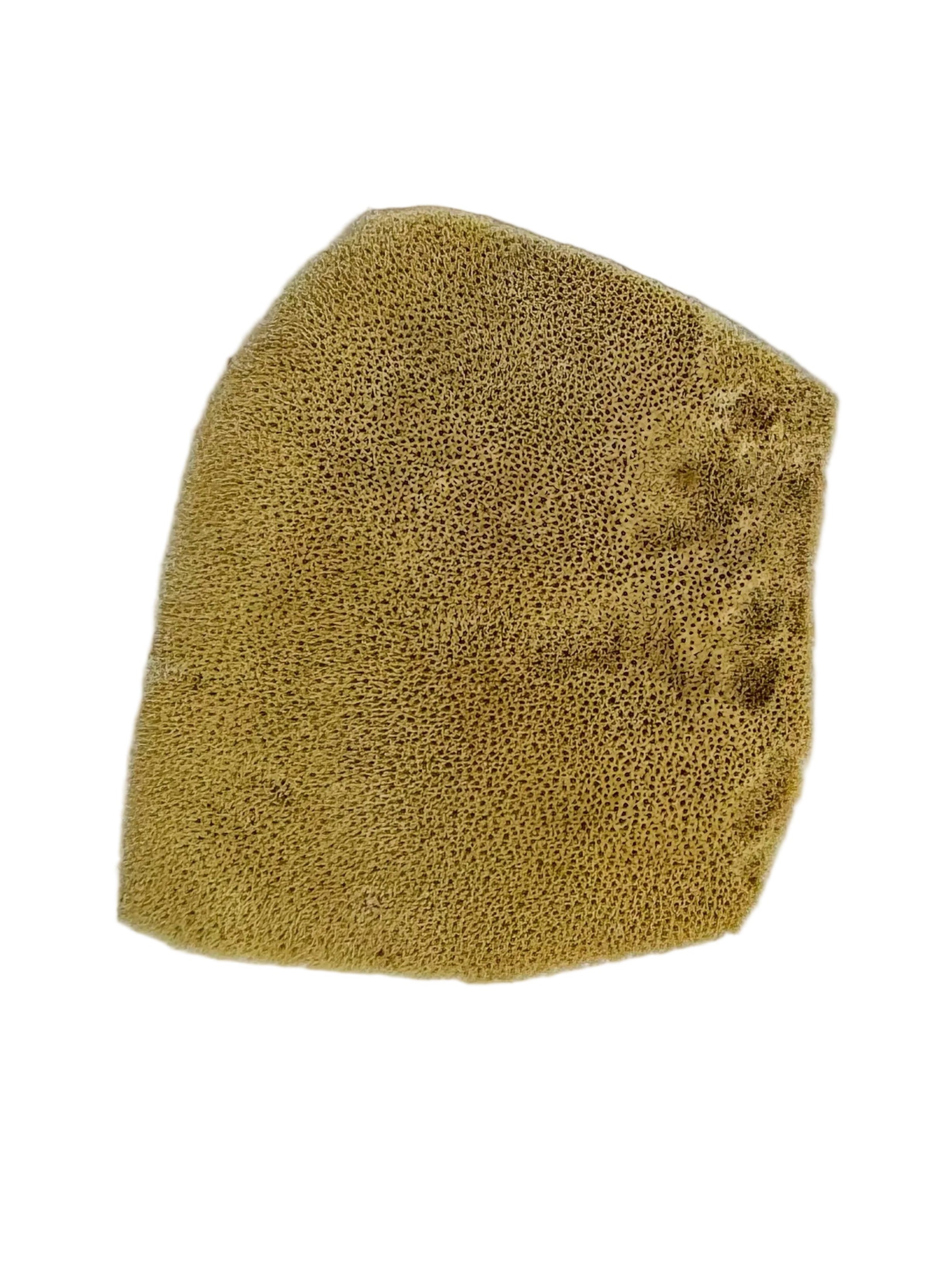 4” Elephant Ear Sponge