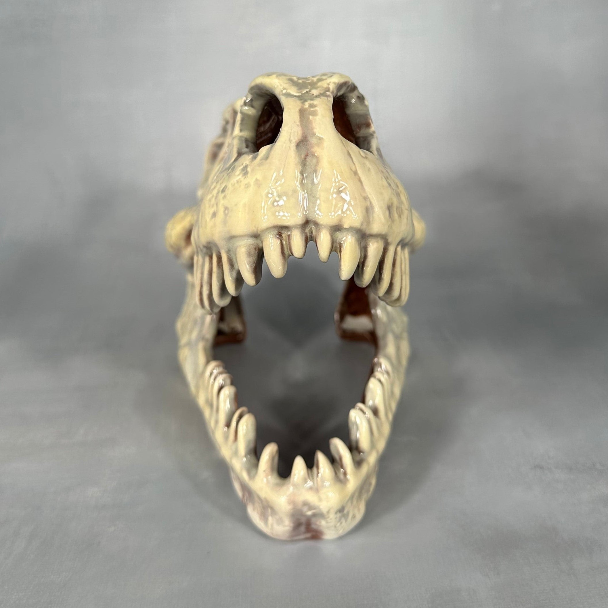 T-Rex Skull