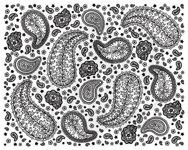 Designer Silkscreen - Paisley (Full Design)