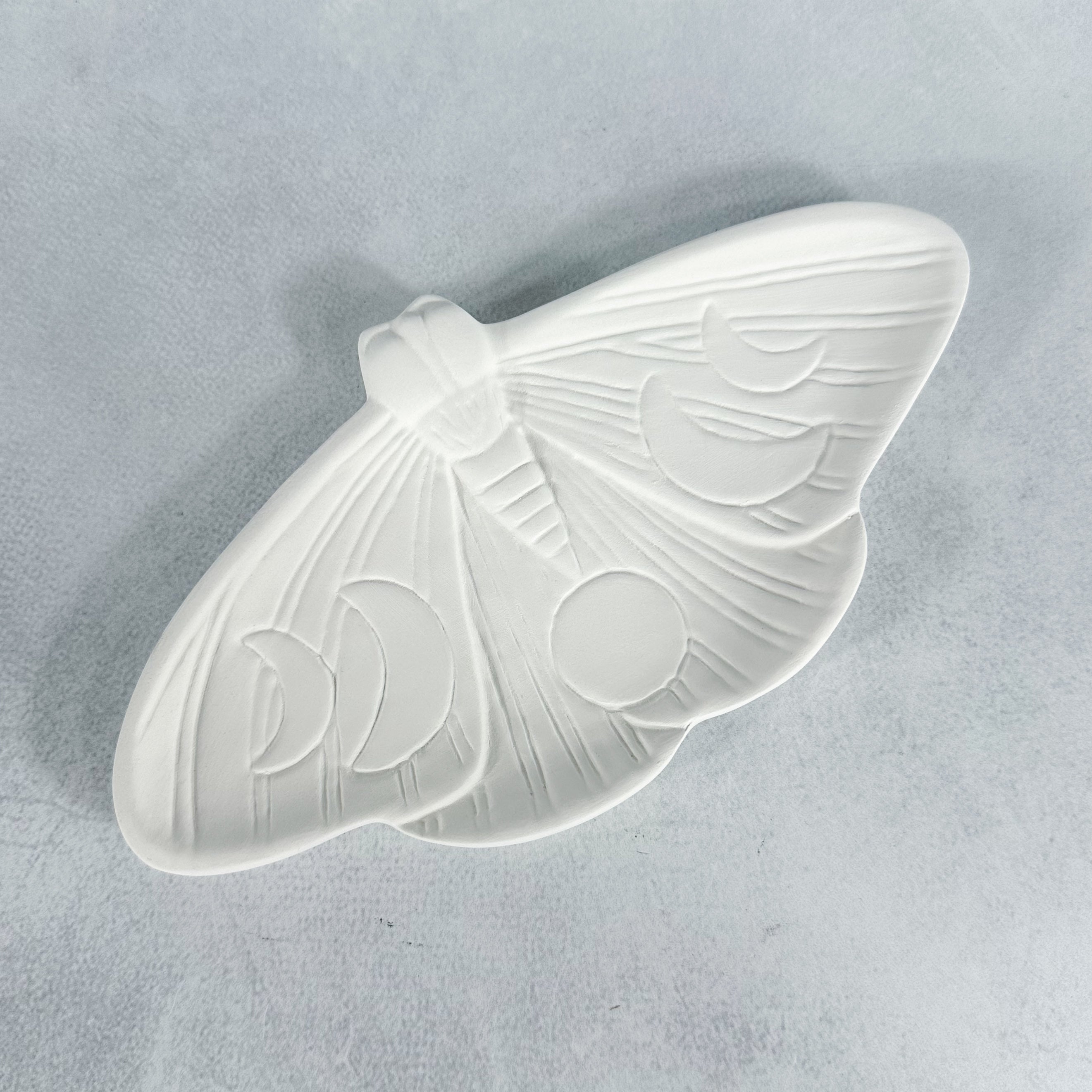 Lunar Moth Dish