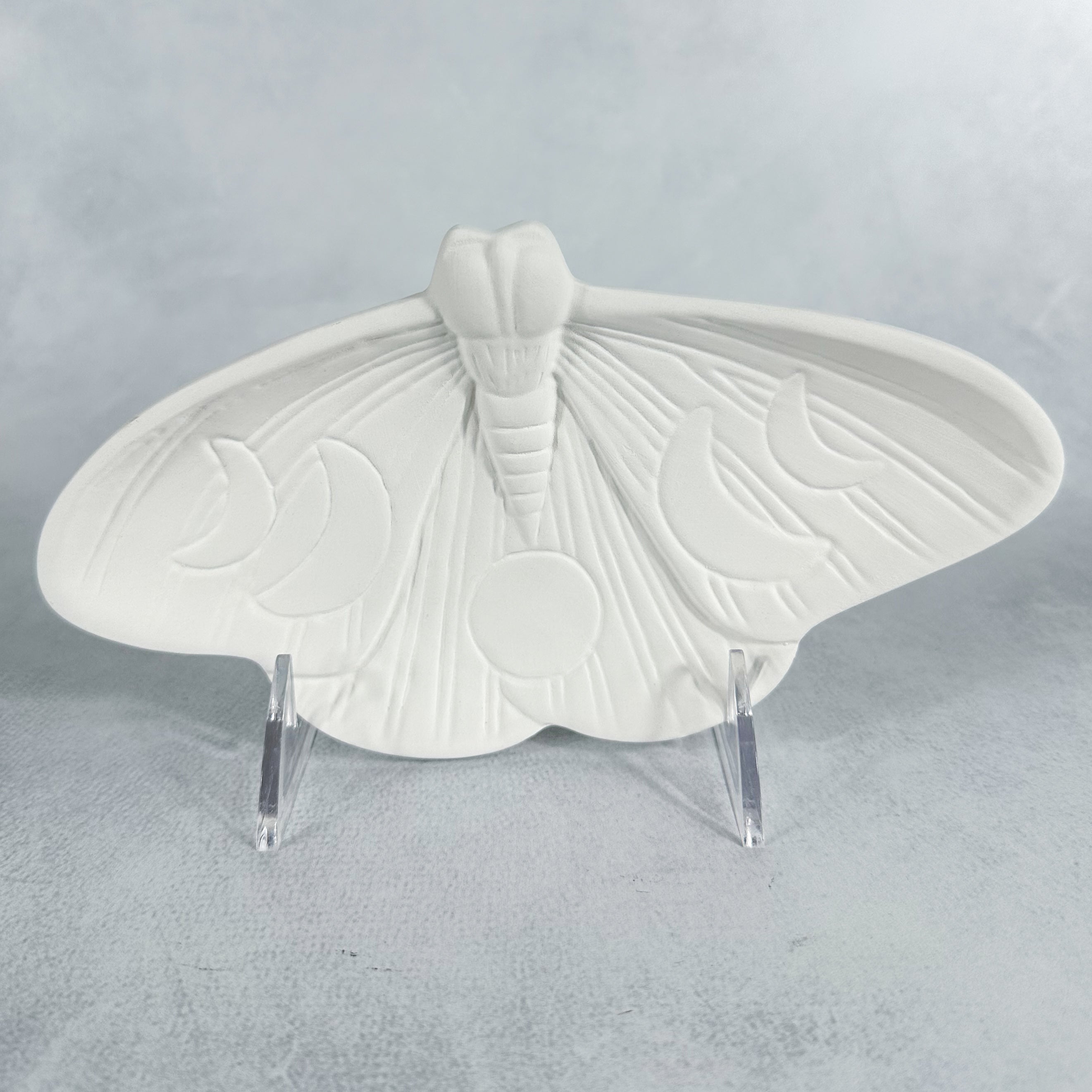 Lunar Moth Dish