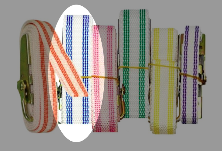 5' Mold Strap - Blue