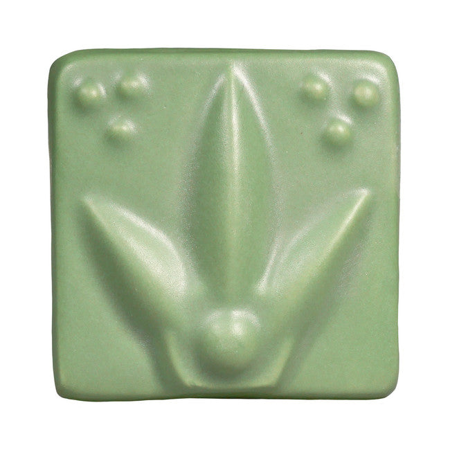 SM46 Moss
