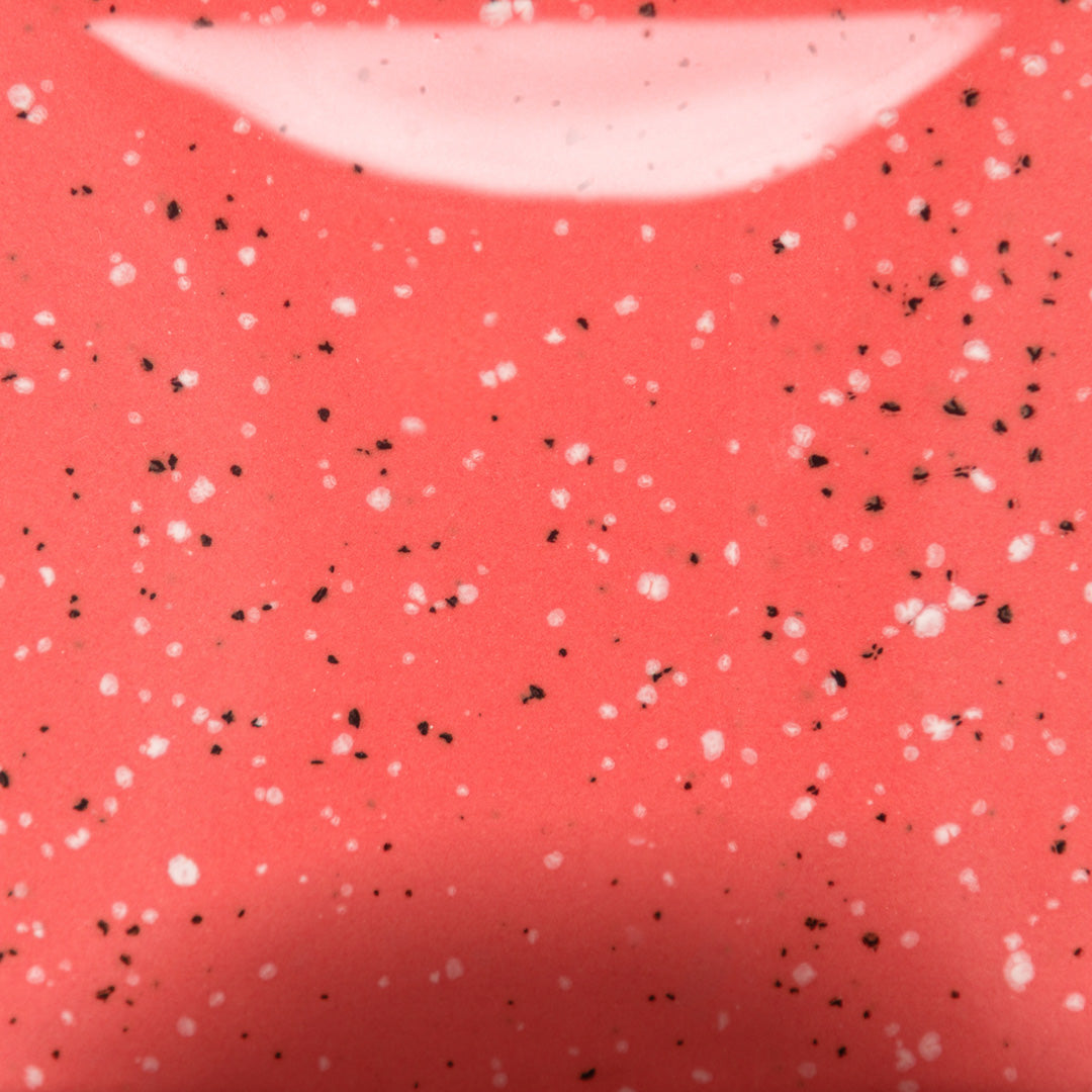 SP289 Speckled Cutie Pie Coral