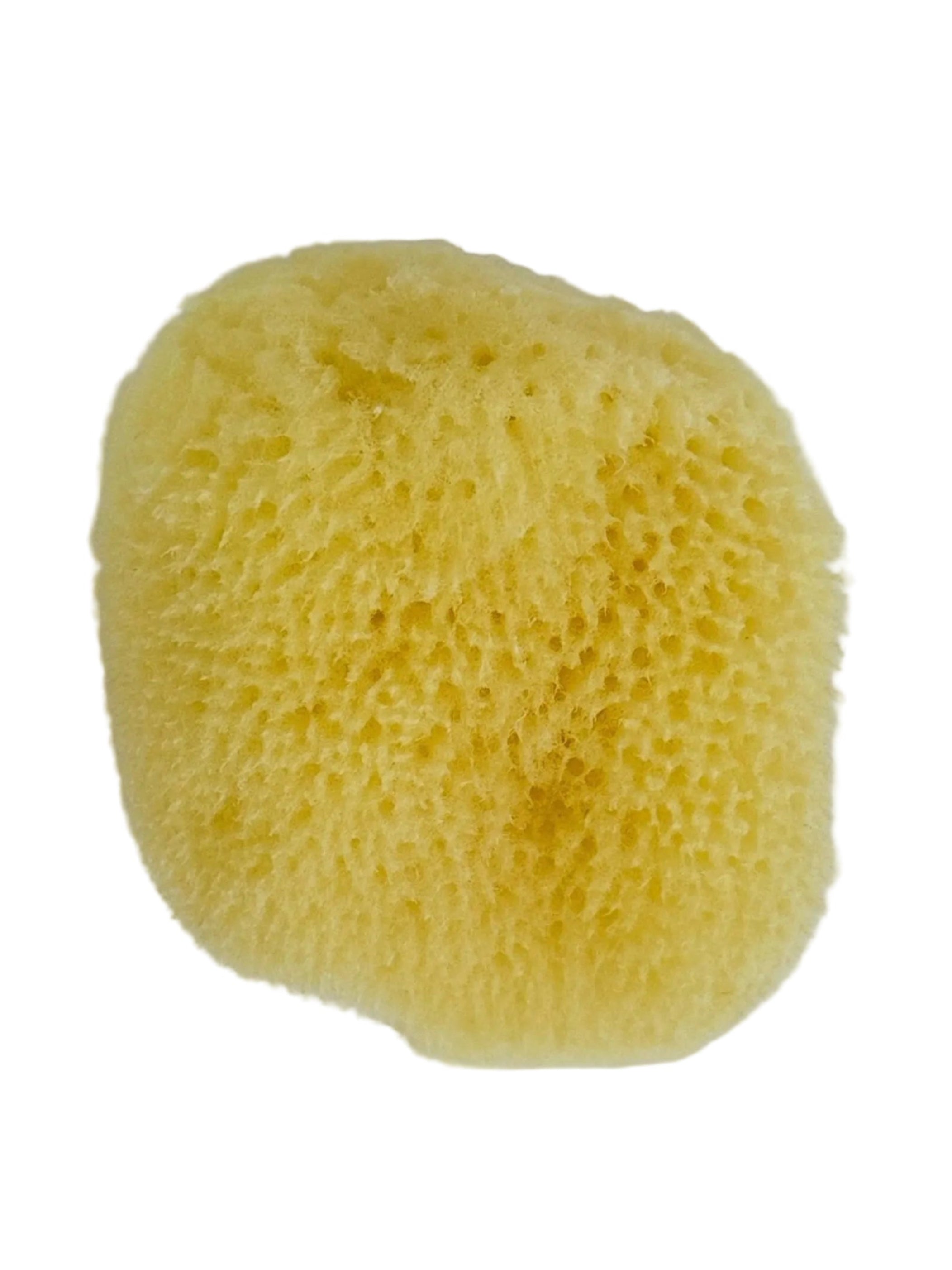 Silk Sponge