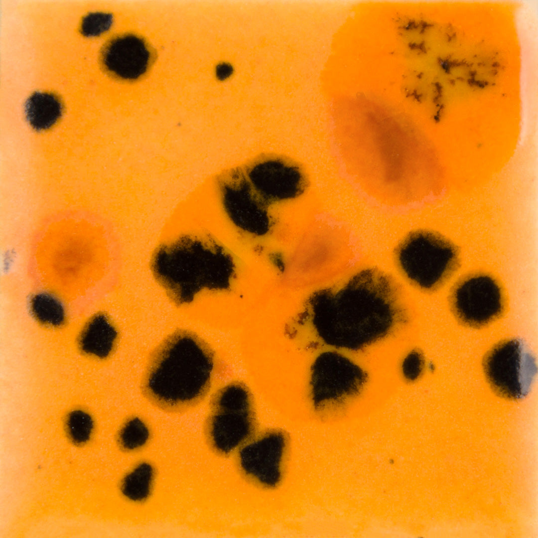 CG10134 Papaya