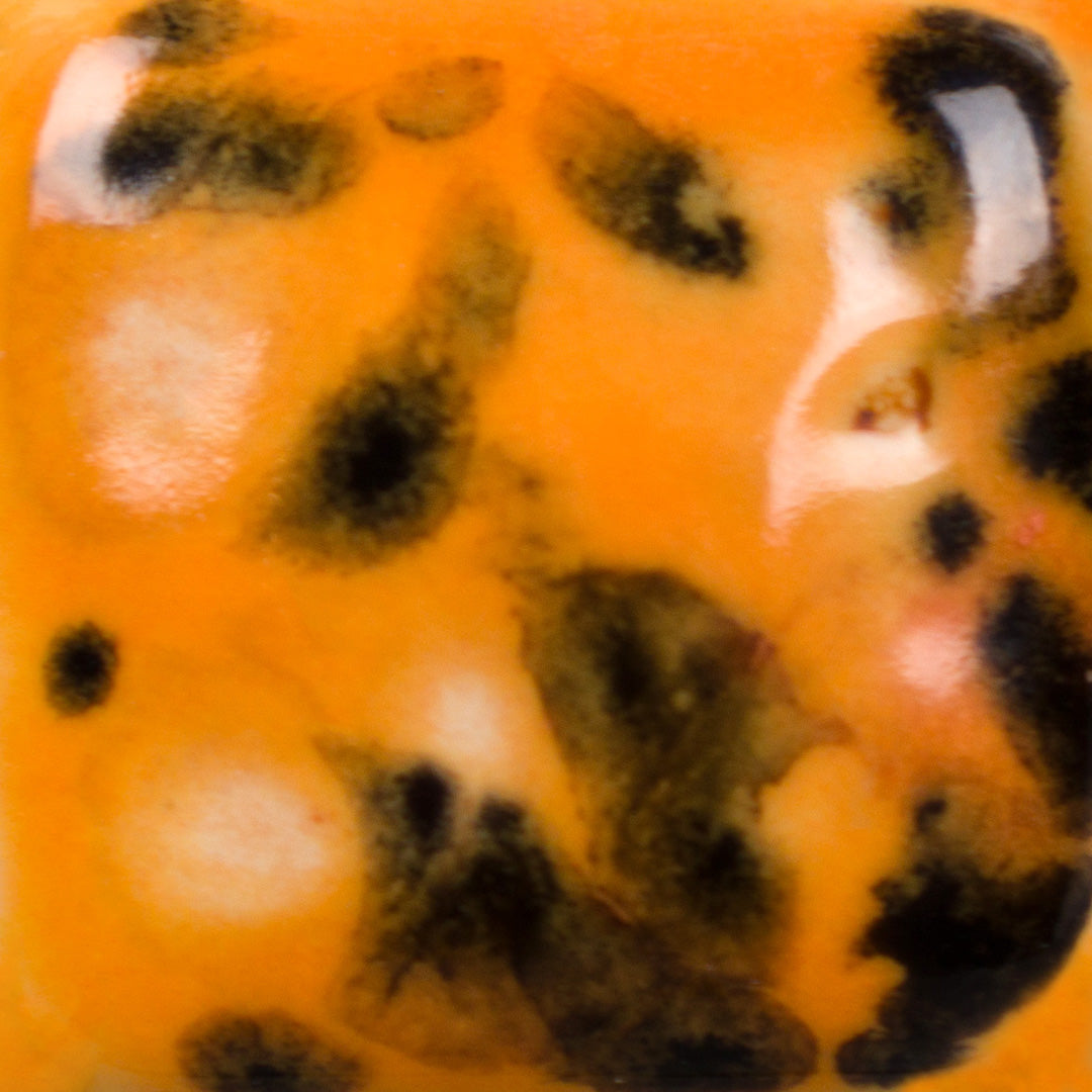 CG10134 Papaya