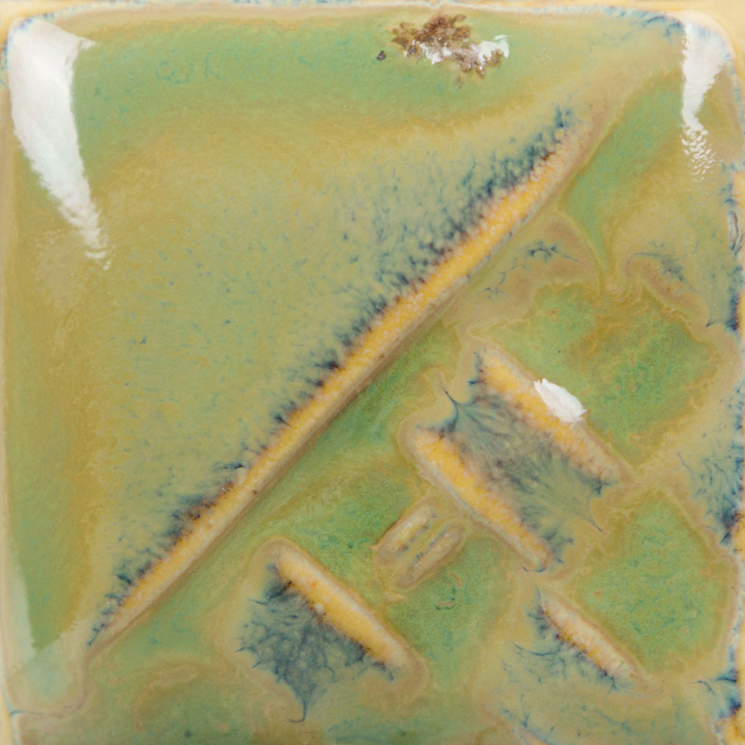 SW228P Beetle Wing