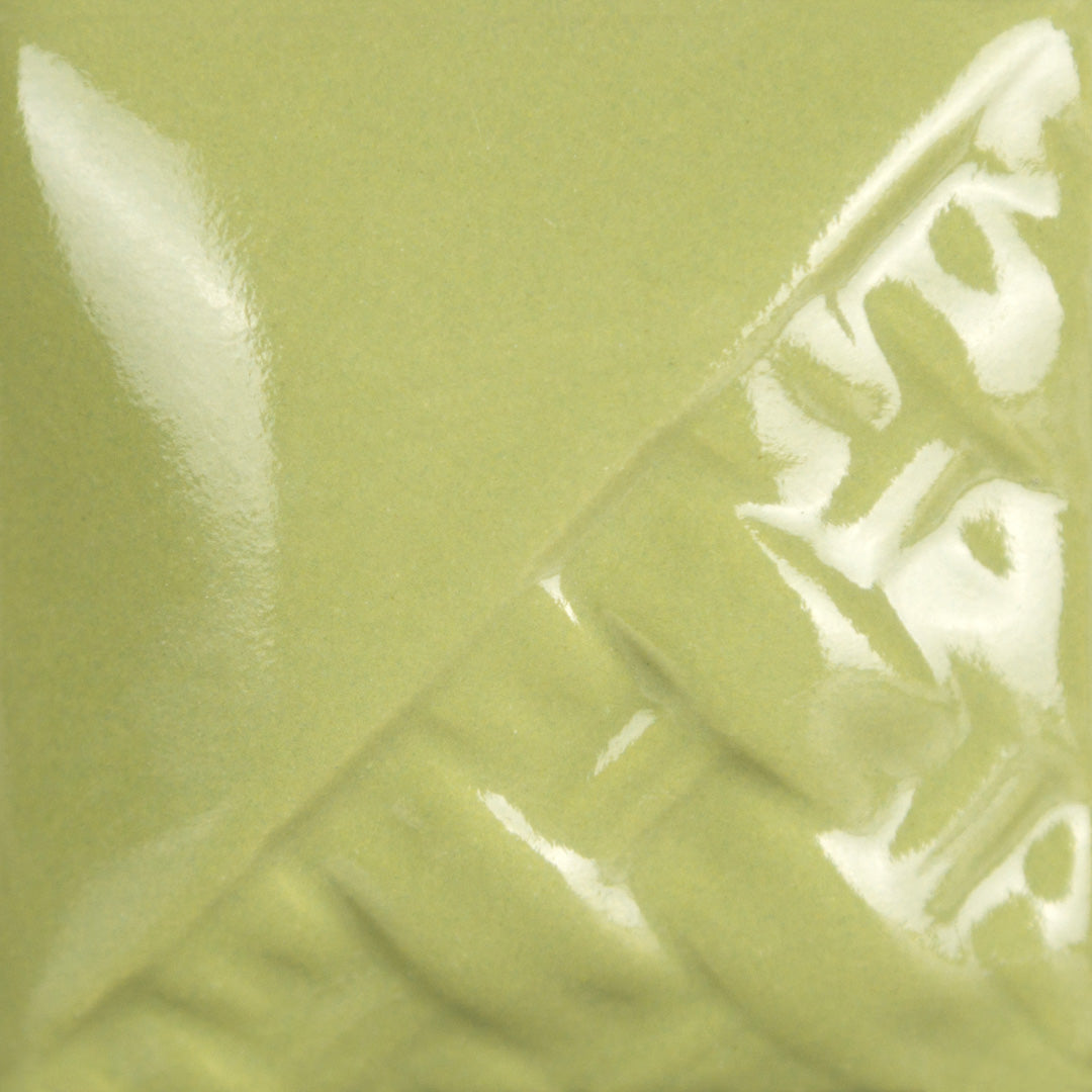 SW514P Sage Gloss