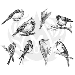 Aviary-Small Birds Designer Silk Screen