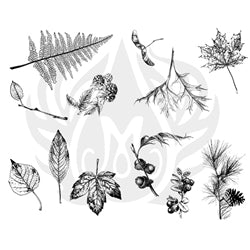 Botanical Leaves Designer Silk Screen