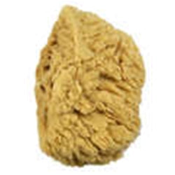 5" Sea Wool Sponge