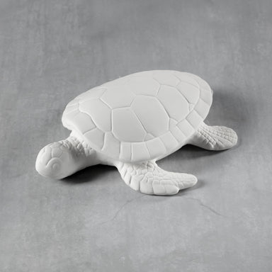 C40541 Sea Turtle Box