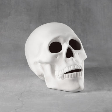 C50410 Skull