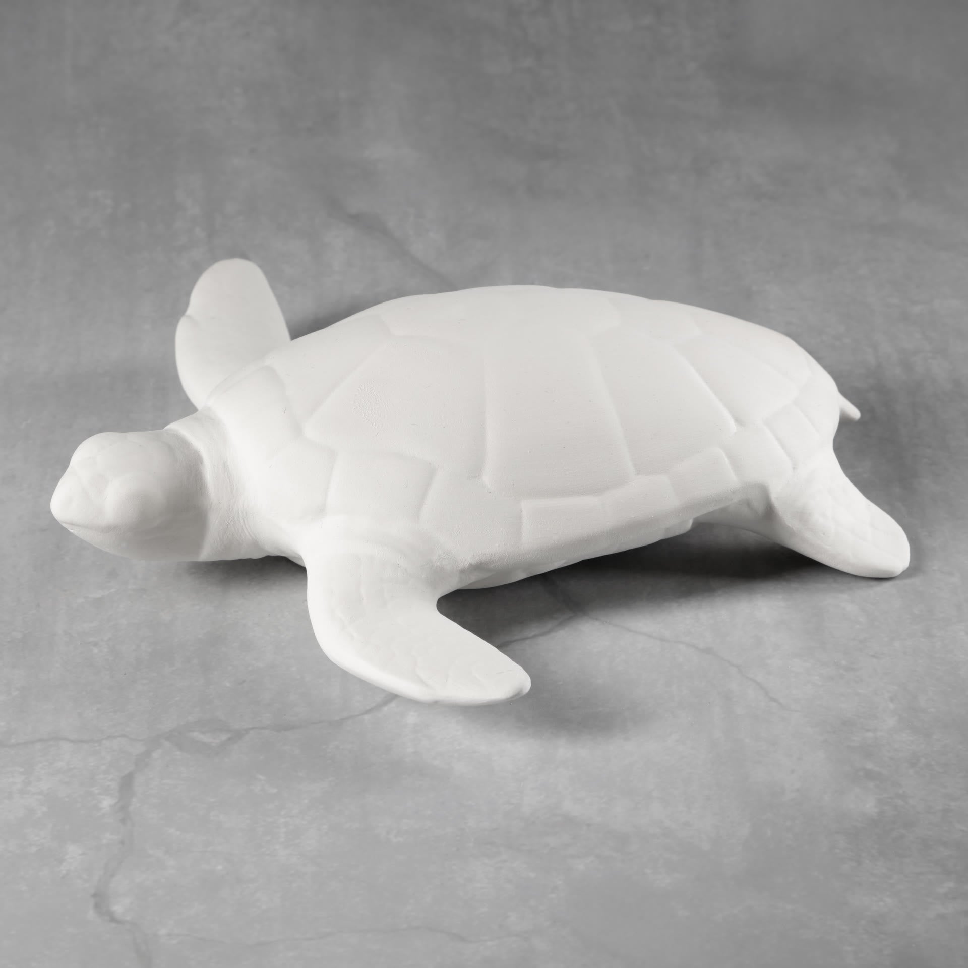 CCX134 Sea Turtle