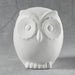 CCX3008 Screech Owl Bank