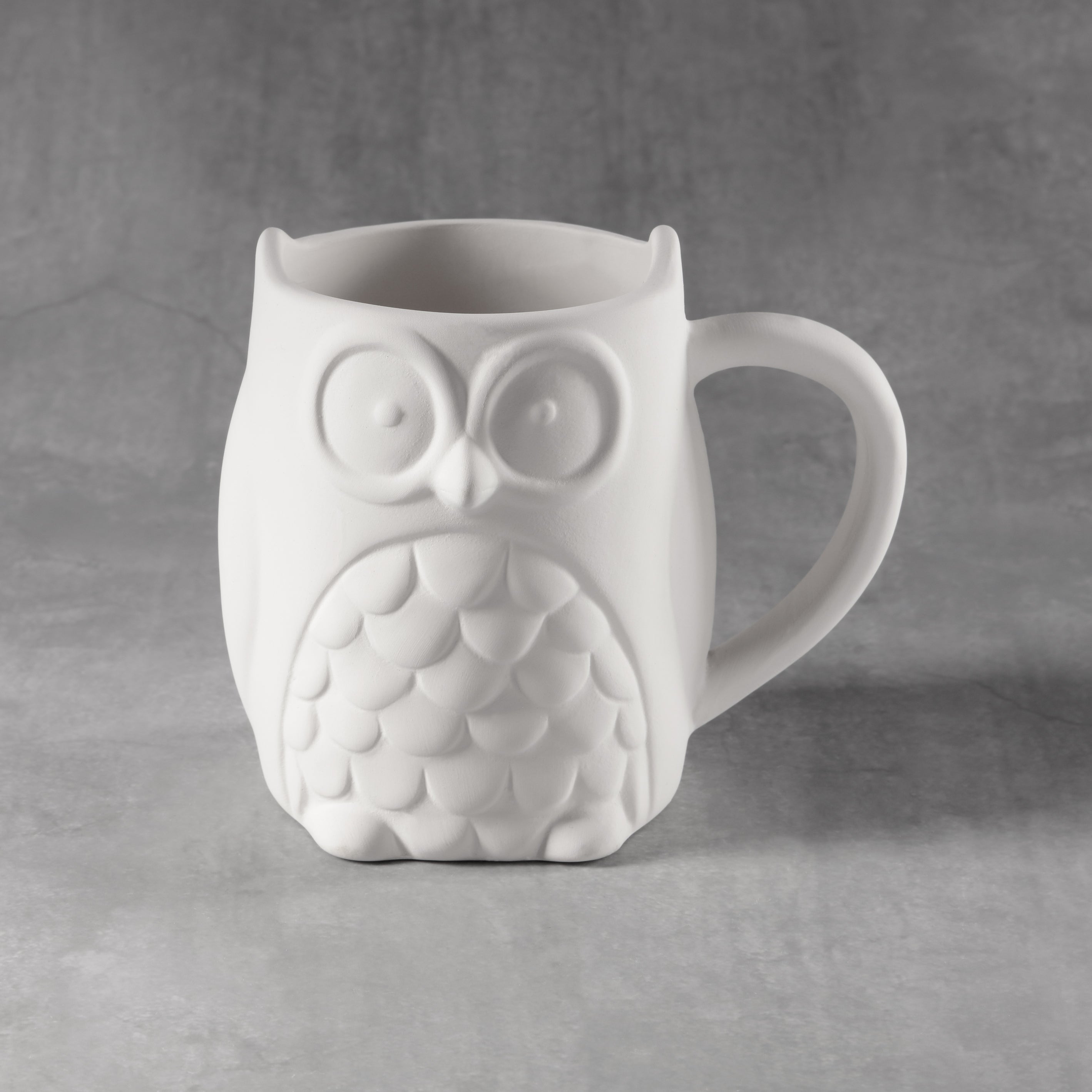 Winston Owl III Mug