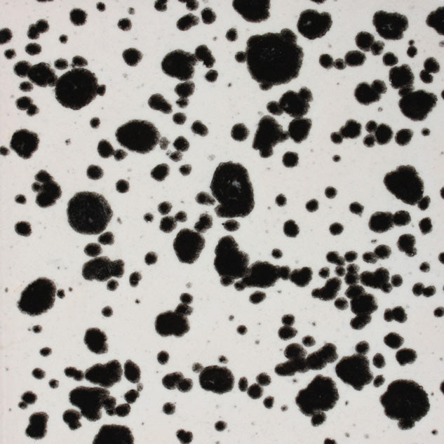 CG9774 Ink Spots