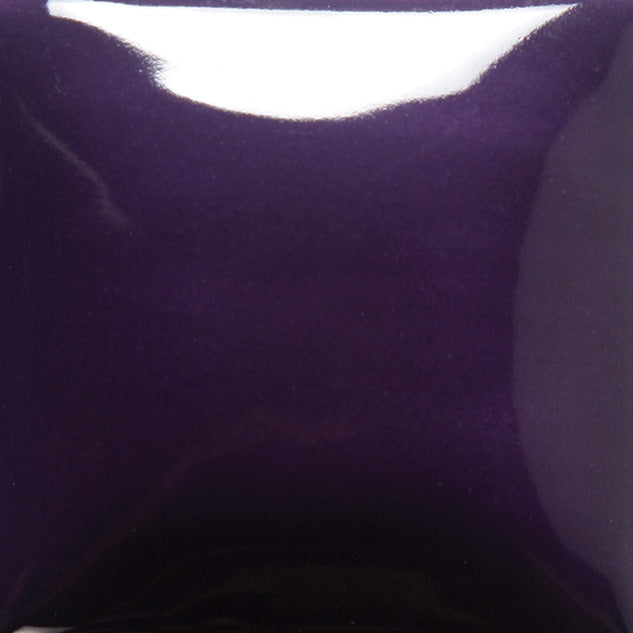 FN0174 Purple