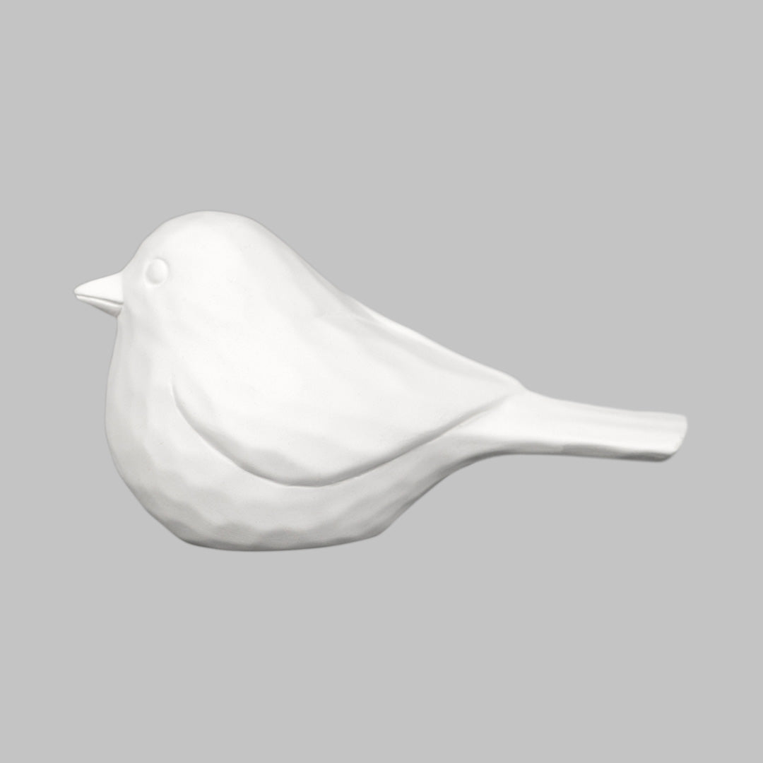 Round Whittle Bird