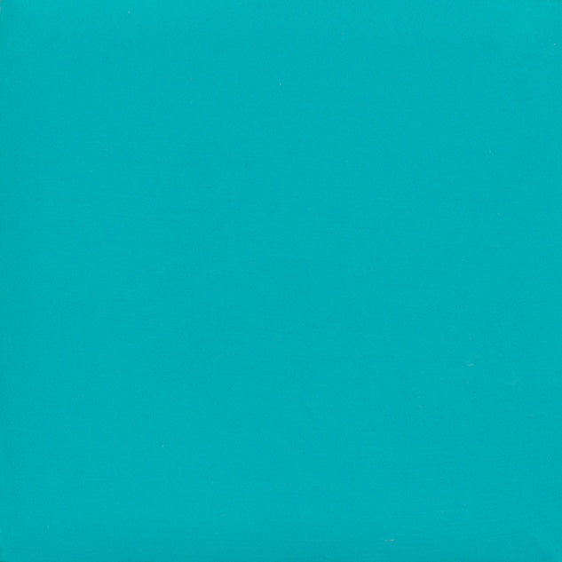 SS3172 Turquoise (2oz)